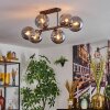 Gastor ceiling light, globe light Smoke-coloured, 6-light sources