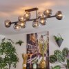 Chehalis ceiling light, globe light clear, Smoke-coloured, 10-light sources