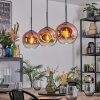 Ripoll hanging light, globe light, pendant light clear, coppery, 3-light sources