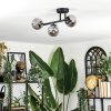 Chehalis ceiling light, globe light Smoke-coloured, 3-light sources