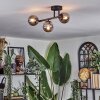 Chehalis ceiling light, globe light Smoke-coloured, 3-light sources