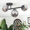 Chehalis ceiling light, globe light Smoke-coloured, 3-light sources