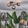 Chehalis ceiling light, globe light Smoke-coloured, 3-light sources