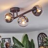 Chehalis ceiling light, globe light clear, Smoke-coloured, 3-light sources