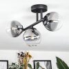 Chehalis ceiling light, globe light clear, Smoke-coloured, 3-light sources