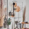 Chehalis globe light, wall light Amber, 3-light sources