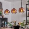 Koyoto hanging light, globe light, pendant light clear, coppery, 3-light sources