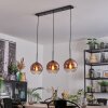 Koyoto hanging light, globe light, pendant light clear, coppery, 3-light sources