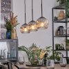 Ripoll hanging light, globe light, pendant light clear, Smoke-coloured, 3-light sources