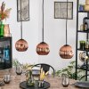 Ripoll hanging light, globe light, pendant light coppery, 3-light sources