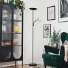 Dillingby floor lamp LED black, 2-light sources