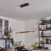 Fugelsta hanging light, pendant light LED black, 1-light source