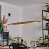 Fugelsta hanging light, pendant light LED black, 1-light source