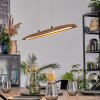 Fugelsta hanging light, pendant light LED black, 1-light source