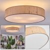 Foggia ceiling light matt nickel, 3-light sources