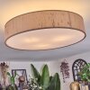 Foggia ceiling light matt nickel, 3-light sources