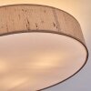 Foggia ceiling light matt nickel, 3-light sources