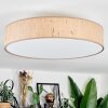 Foggia ceiling light matt nickel, 3-light sources
