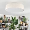 Foggia ceiling light matt nickel, 3-light sources