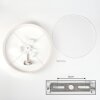 Foggia ceiling light matt nickel, 3-light sources