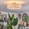 Foggia ceiling light matt nickel, 3-light sources
