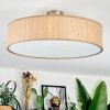 Foggia ceiling light matt nickel, 3-light sources