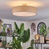 Foggia ceiling light matt nickel, 3-light sources