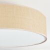 Foggia ceiling light matt nickel, 3-light sources