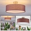 Foggia ceiling light matt nickel, 3-light sources