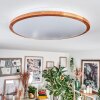 Nogueira ceiling light, Panel LED Ecru, white, 1-light source, Remote control