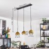 Koyoto hanging light, globe light, pendant light gold, clear, 3-light sources