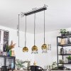 Koyoto hanging light, globe light, pendant light gold, clear, 3-light sources