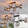 Gastor ceiling light, globe light clear, Smoke-coloured, 6-light sources