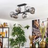 Gastor ceiling light, globe light clear, Smoke-coloured, 6-light sources