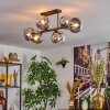 Gastor ceiling light, globe light clear, Smoke-coloured, 6-light sources