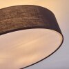 Foggia ceiling light matt nickel, 3-light sources