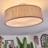 Foggia ceiling light matt nickel, 3-light sources