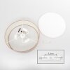 Foggia ceiling light matt nickel, 3-light sources