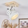 HERFORD Ceiling Light Ecru, white, 1-light source