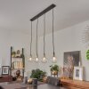 Quento Pendant Light black-gold, 4-light sources