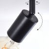 CACOQ Ceiling Light black, 4-light sources