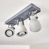 Lomma Ceiling Light grey, 3-light sources