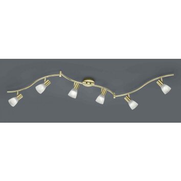 Trio LEVISTO ceiling spotlight LED brass, 6-light sources