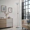 Reality DEZWO floor lamp titanium, 1-light source