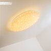 Trio NAGANO ceiling light LED white, 1-light source, Remote control, Colour changer