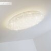 Trio NAGANO ceiling light LED white, 1-light source, Remote control, Colour changer