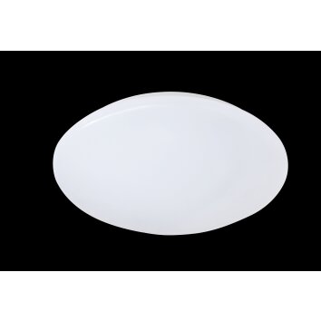 Reality Putz Ceiling Light LED white, 1-light source