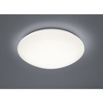 Reality Putz Ceiling Light LED white, 1-light source