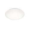 Reality lights PUTZ ceiling light LED white, 1-light source