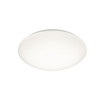 Reality lights PUTZ ceiling light LED white, 1-light source